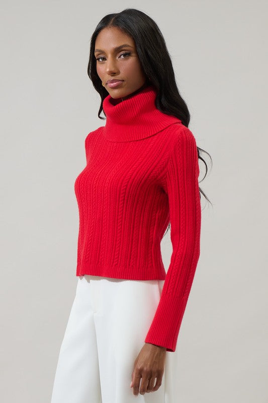 Perrie Turtle Neck Sweater FINAL SALE