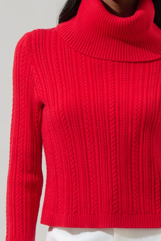 Perrie Turtle Neck Sweater FINAL SALE