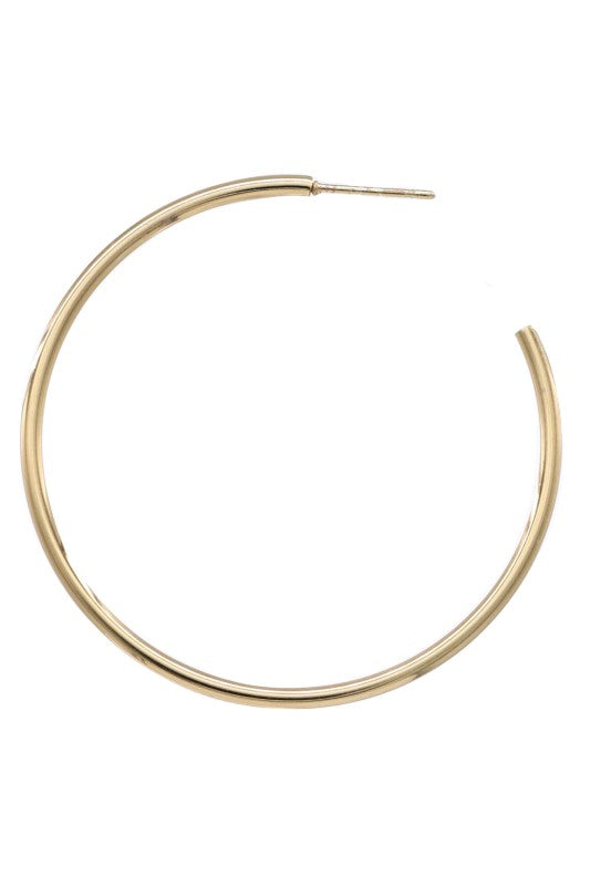 Riah Hoop Earrings (2 Colors!)