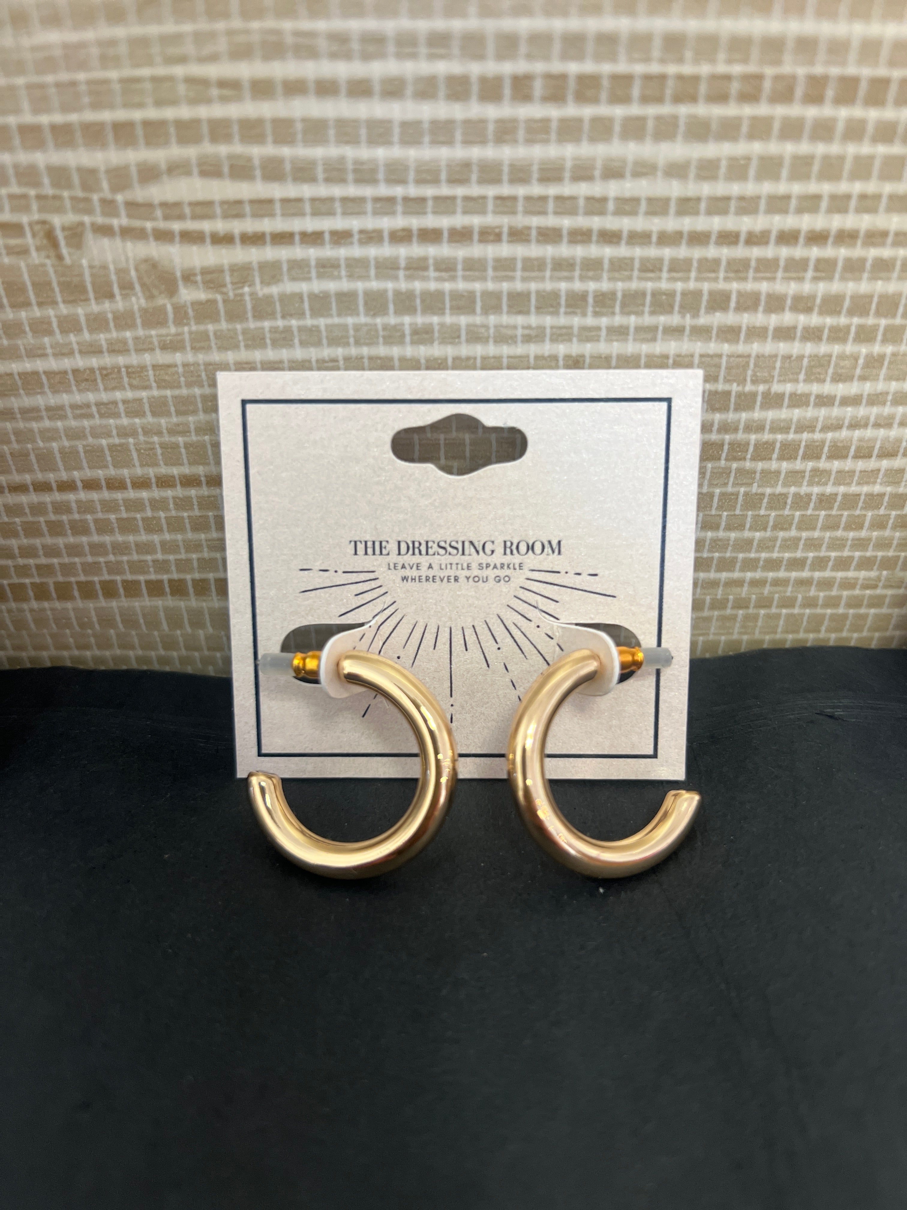 Abigail Hoop Earrings