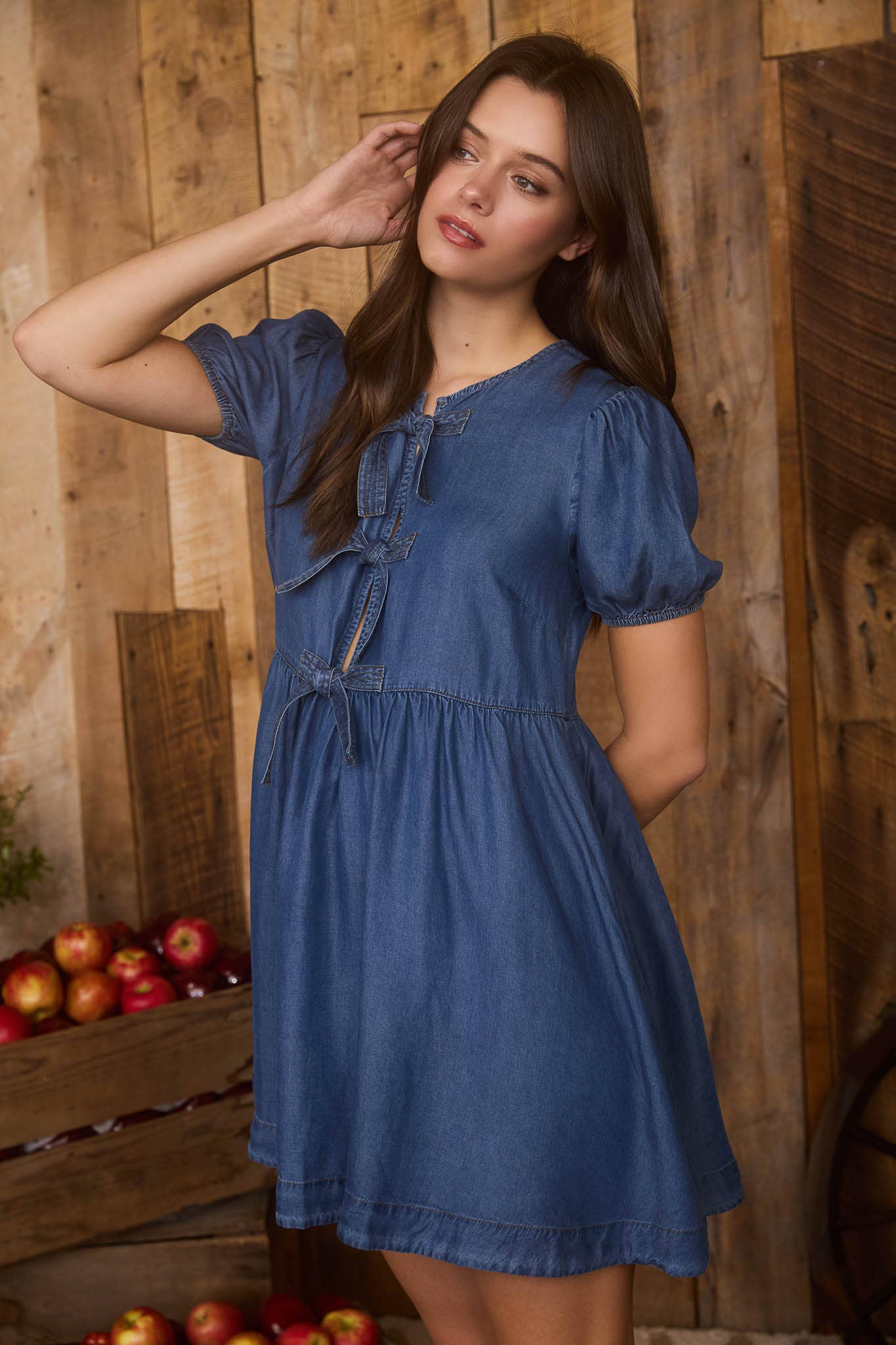 Stokes Denim Mini Dress