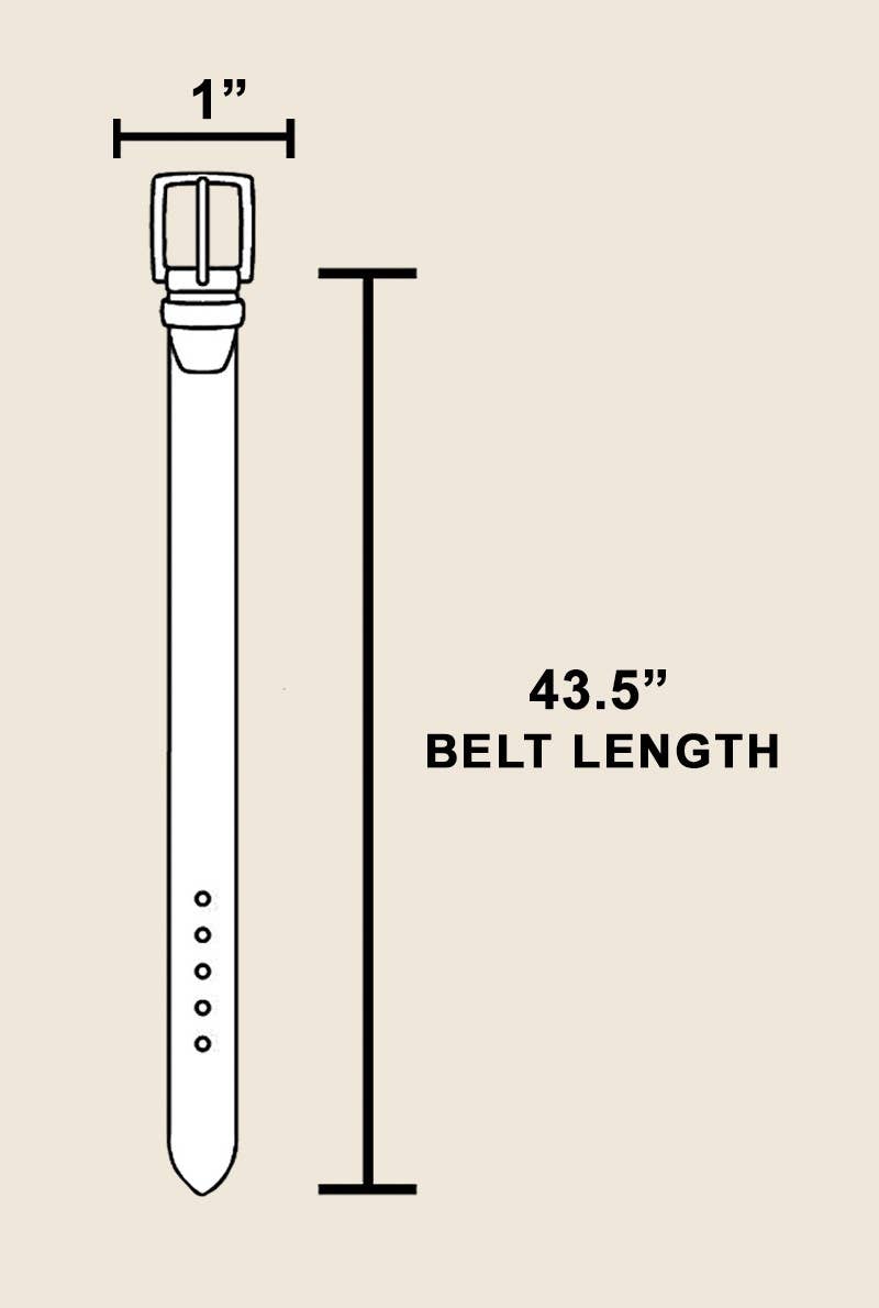 Vomm Metallic Disc Studded Vegan Leather Belt (2 Colors!)