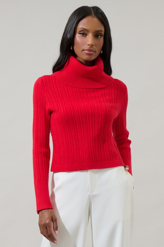 Perrie Turtle Neck Sweater FINAL SALE