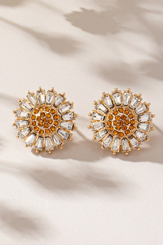 Eaton Rhinestone Earrings