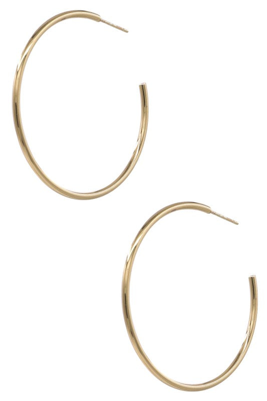 Riah Hoop Earrings (2 Colors!)