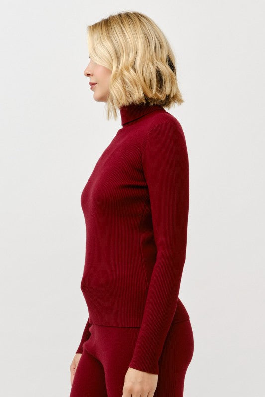 Stern Ribbed Knit Turtle Neck Sweater