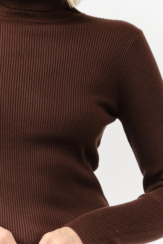 Stern Ribbed Knit Turtle Neck Sweater