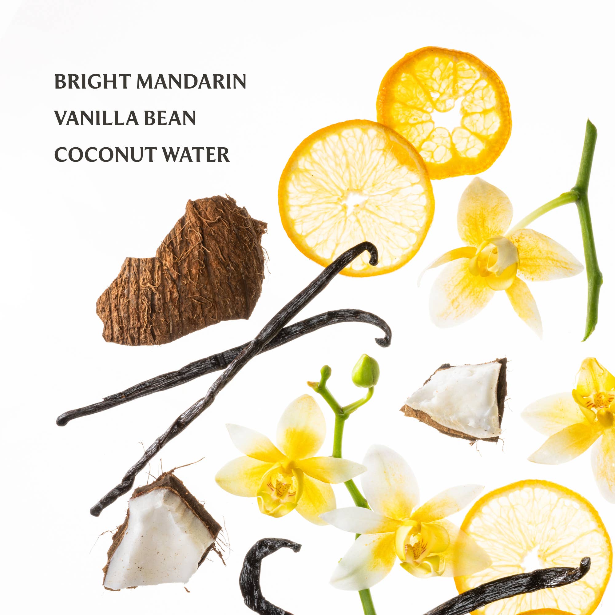 Vanilla Blossom Power Mist Hydrating Hand Sanitizer PREORDER