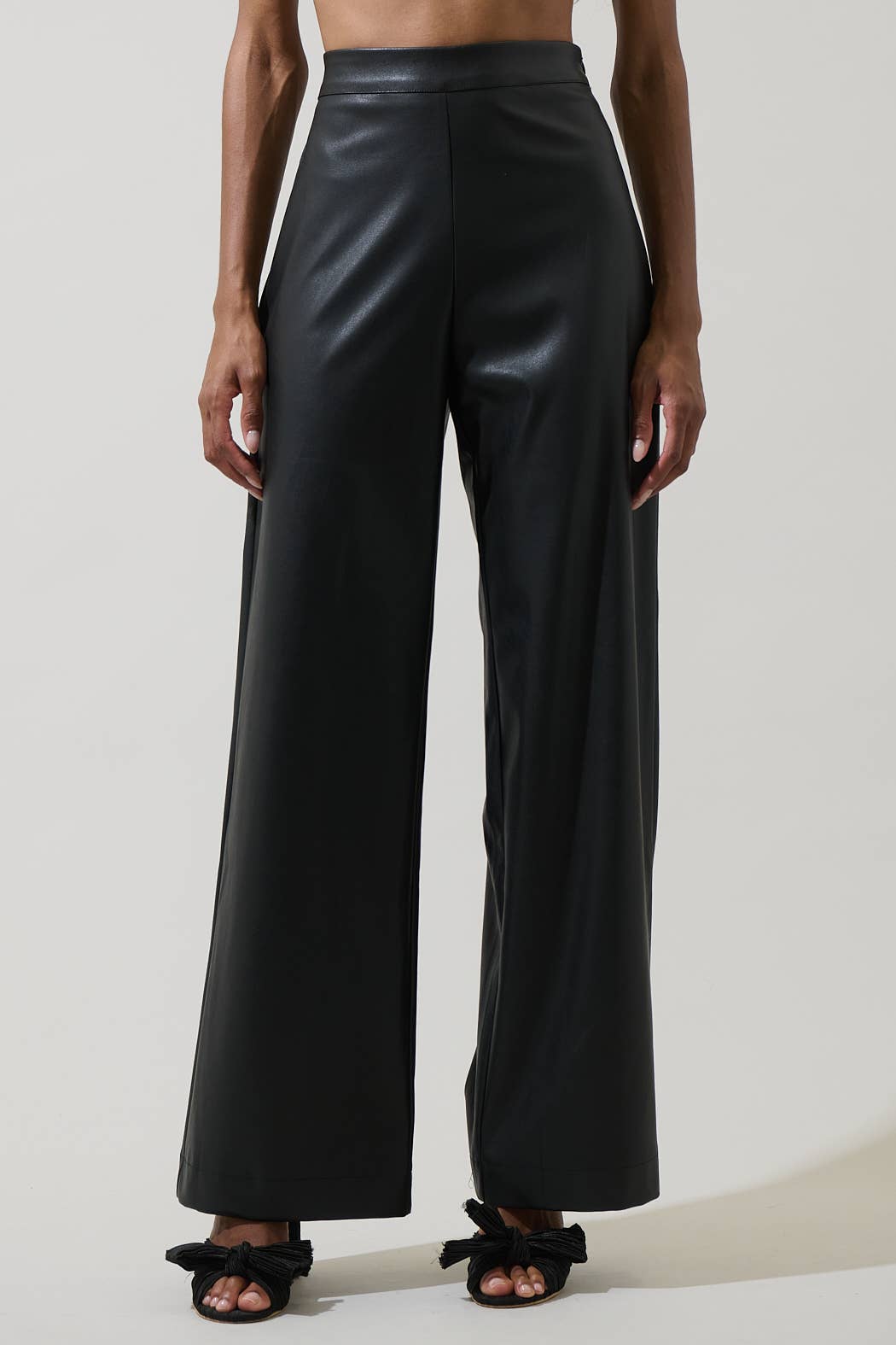 Anisa Faux Leather Wide Leg Pants