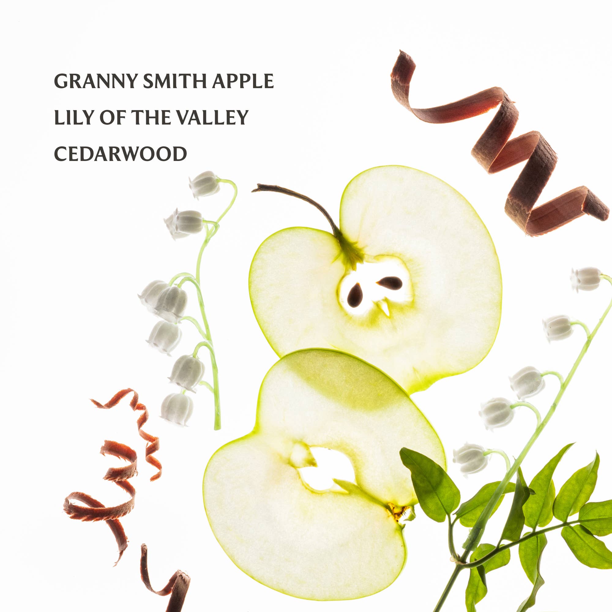 TOUCHLAND Applelicious Power Mist Hydrating Hand Sanitizer