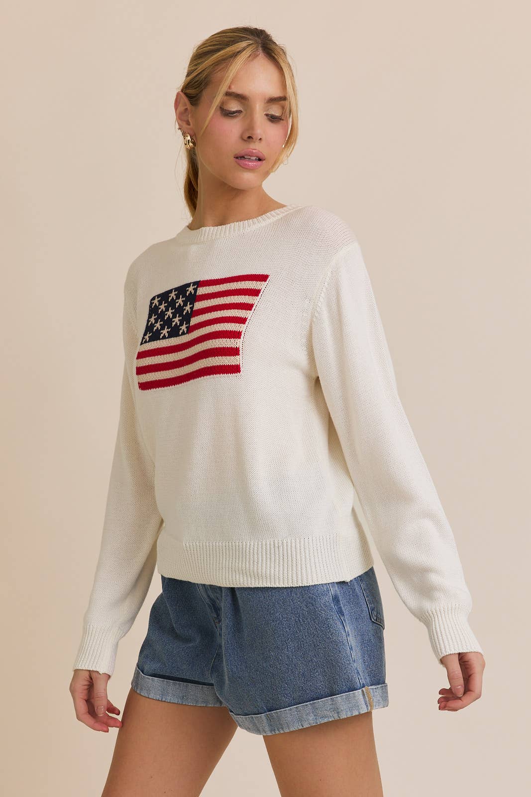 USA Flag Crew Neck Sweater