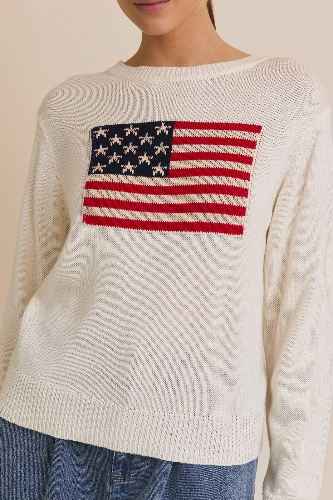 USA Flag Crew Neck Sweater