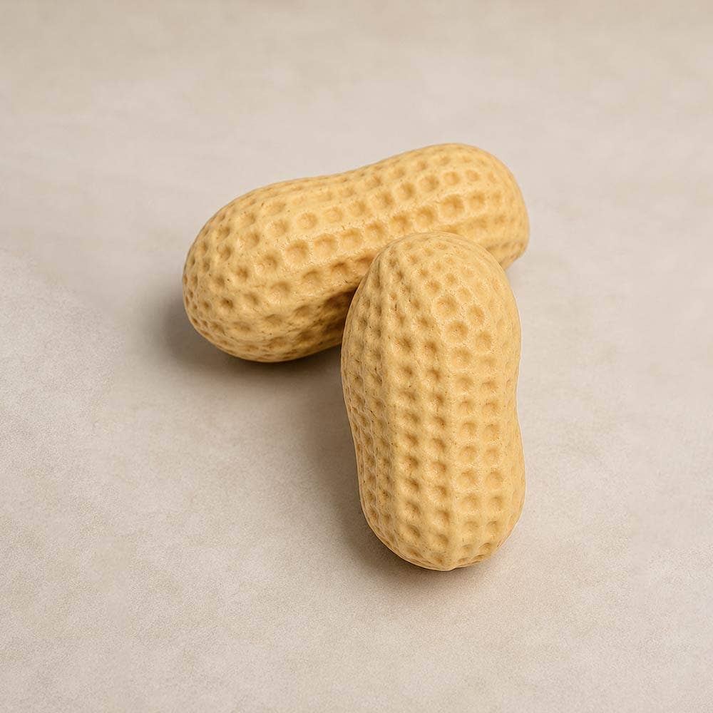 Peanut Shaped Squishy Toy