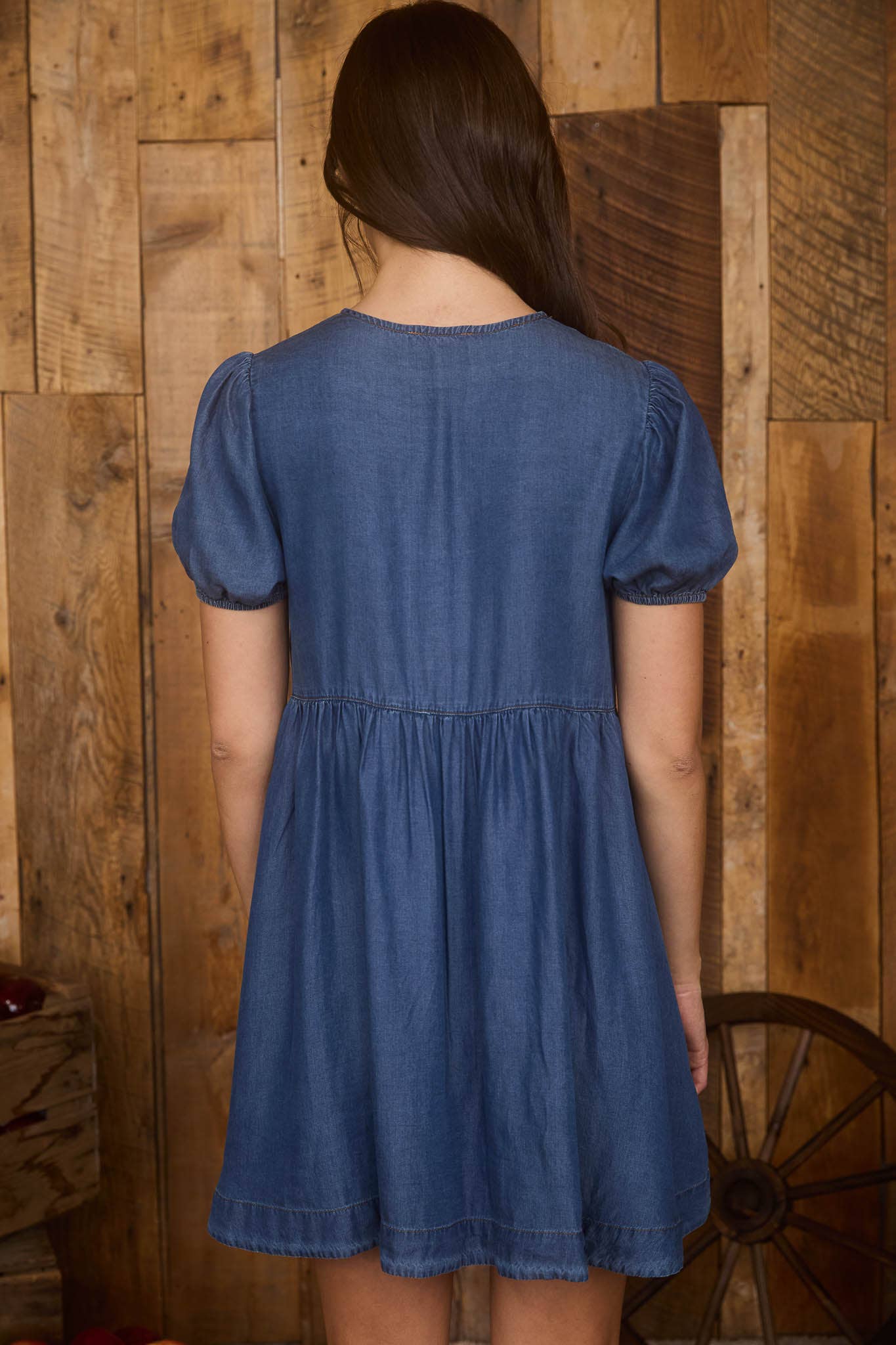Stokes Denim Mini Dress
